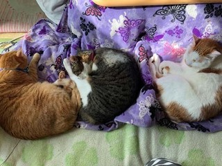 2017_1105.jpg