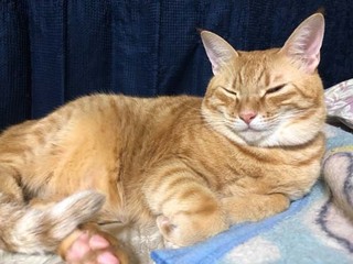 2017_1106.jpg