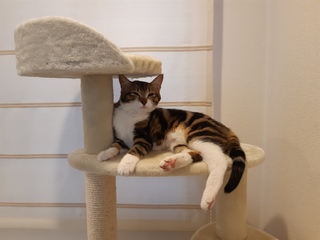 20190416_180504.jpg