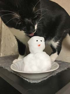 おっ。雪にゃ!.jpeg