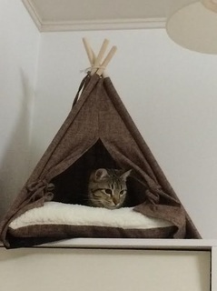 こすずー.jpg