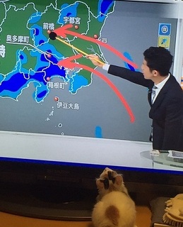 平井さんと@.jpg
