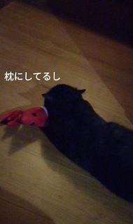枕.jpg