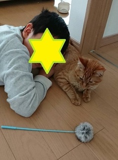 img20180414_112348.jpg