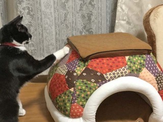 1もうこの季節じゃナイニョヨ.jpg