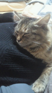 201302171719000.jpg