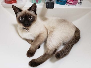20181216_002304.jpg