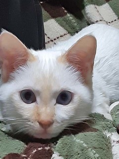 20201224_190344.jpg