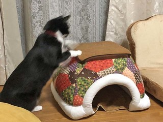 2ここらへんを、、こうして、、、.jpg