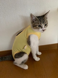 2でも着心地悪いかな.jpeg