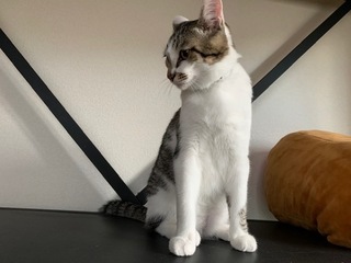 6ちーん・さーみし.jpeg
