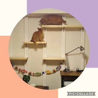 Collage 2019-04-30 21_40_54.jpg