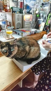 DSC_0426.JPG