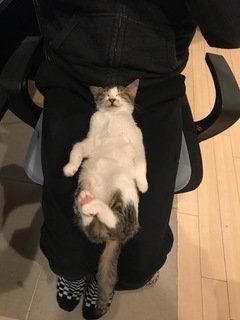 あんこ3.jpeg
