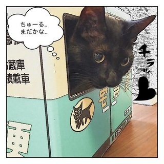 ごまちゃん 4.jpg