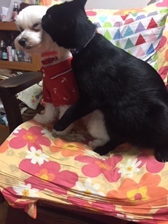 なかよし.jpeg