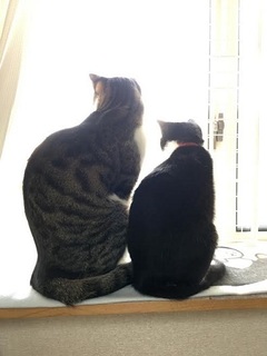 はちちょぼ 4.jpg