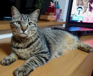 みーちゃん.jpg