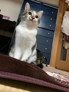 もうだいじょうぶ.jpeg