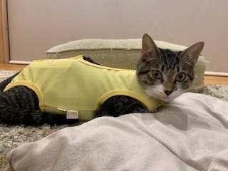 ニコちゃん 2.jpeg