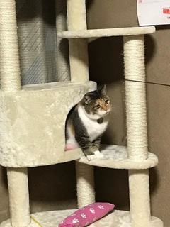 ミオンちゃん1.jpg