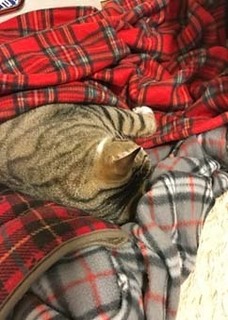 埋もれてます.jpg