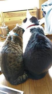 寄り添う2人.jpg