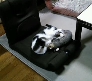 美鈴 3.jpg