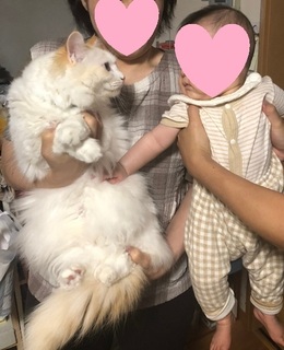 赤ちゃんと.jpg