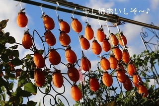 IMG-0277.jpg