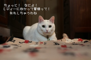 IMG-0500.jpg