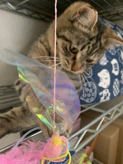 IMG_8070.jpeg