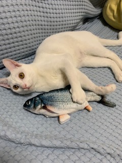 haku 3.jpg