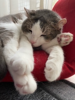 image0.jpeg