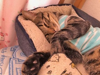 image0.jpeg
