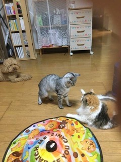 image0(4).jpeg
