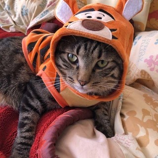 image1.jpeg