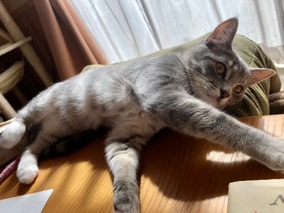 image1.jpeg