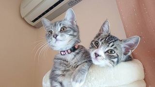 image1.jpeg