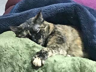 image1.jpeg