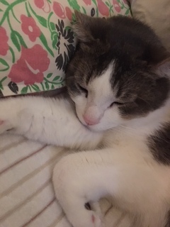 image1.jpeg