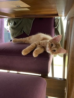 image1.jpeg