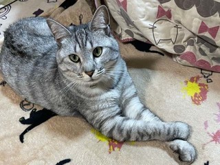 image1 (14).jpeg