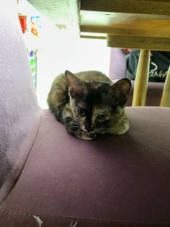 image2.jpeg