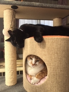 image2.jpeg