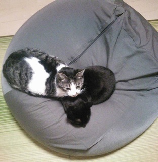 image2.jpeg