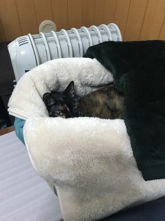 image2(1).jpeg