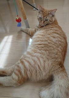 img20180522_200939.jpg