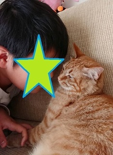 img20180522_201016.jpg