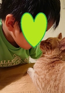 img20180721_174139.jpg